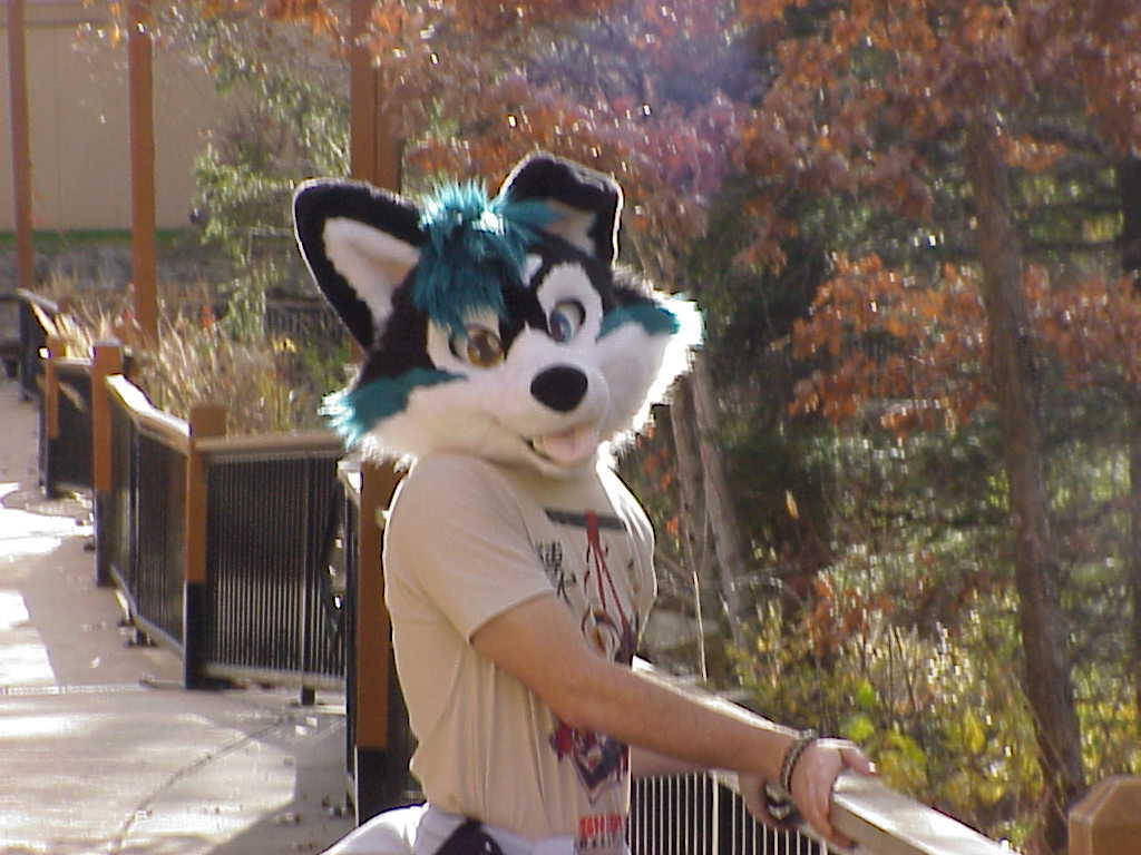 @KektheWusky Mavica photo Aquatifur25